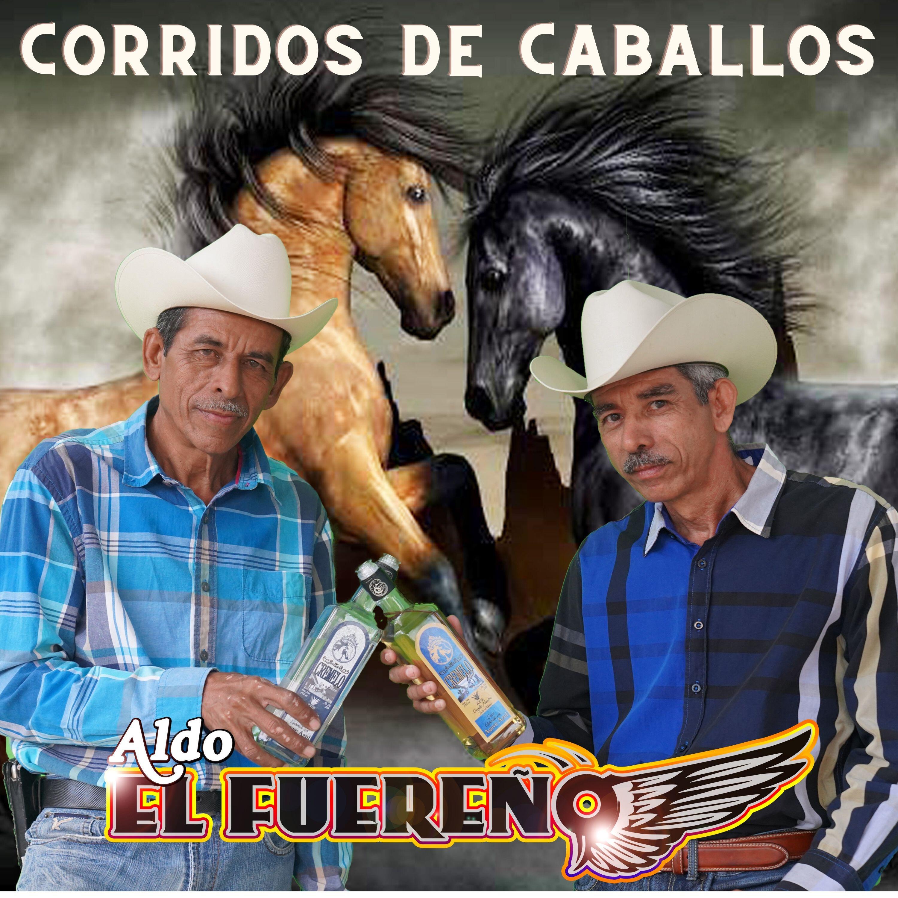Релиз Corridos De Caballos