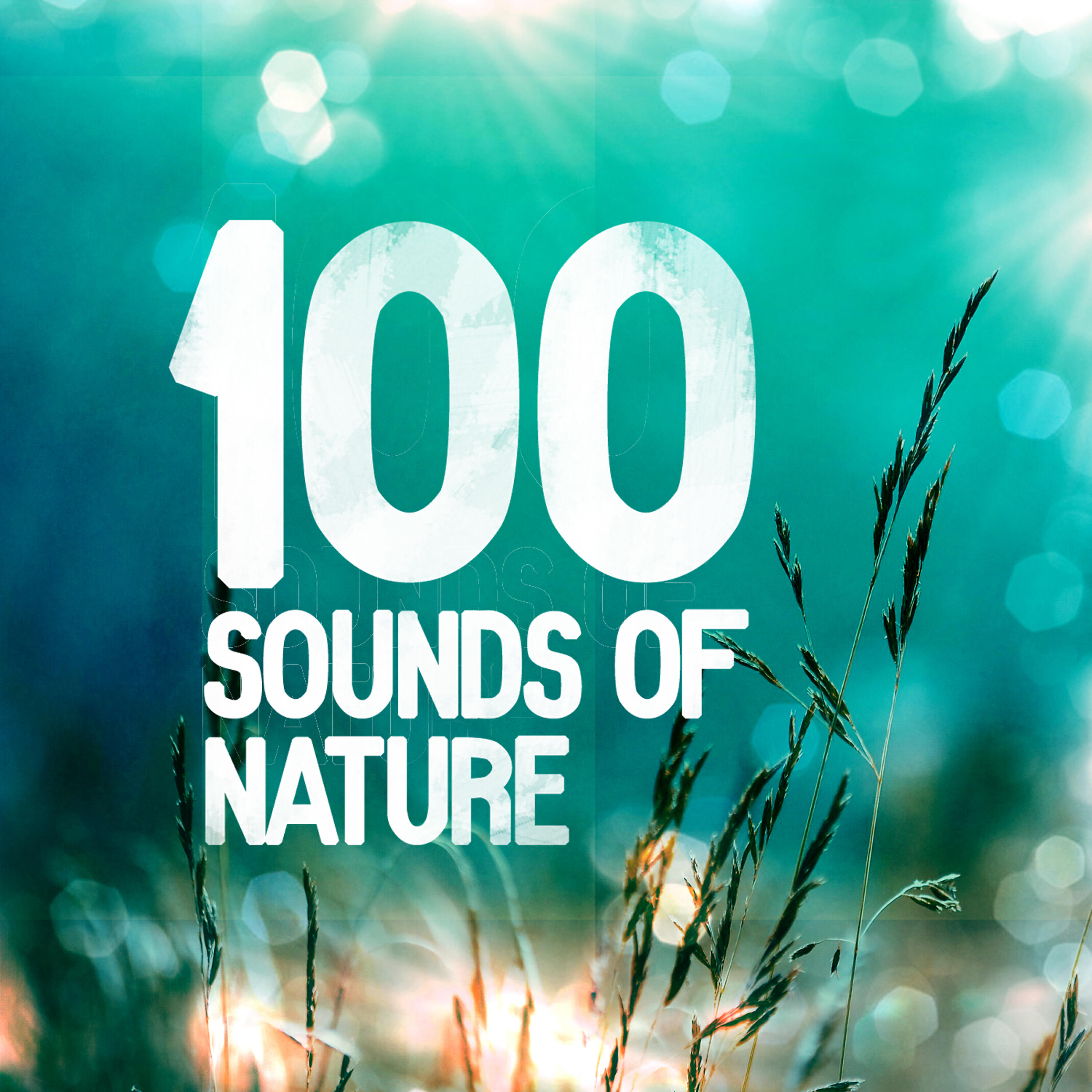 Релиз 100 Sounds of Nature