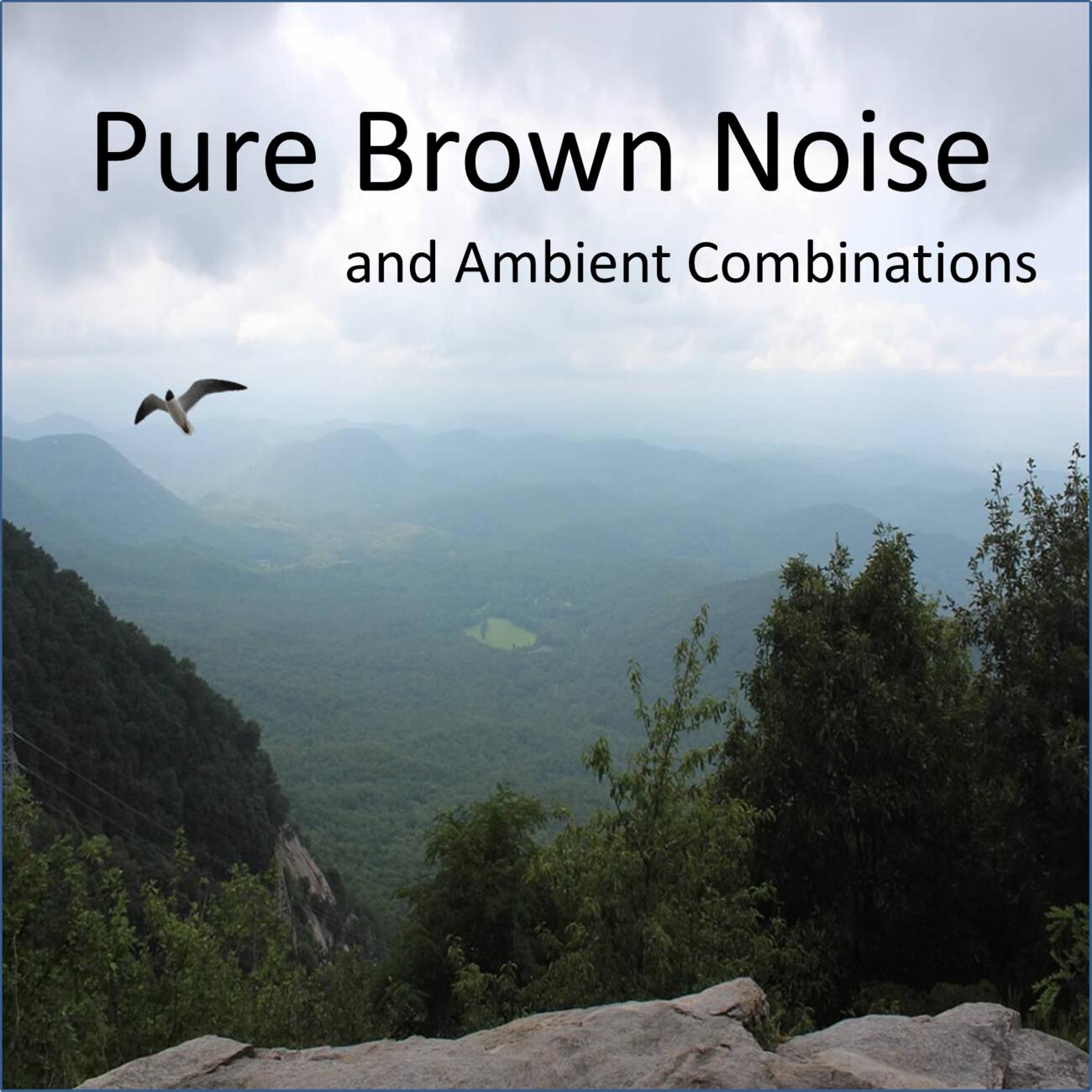 Релиз Pure Brown Noise and Ambient Combinations, including Clothes Dryers, Waterfalls, Crickets