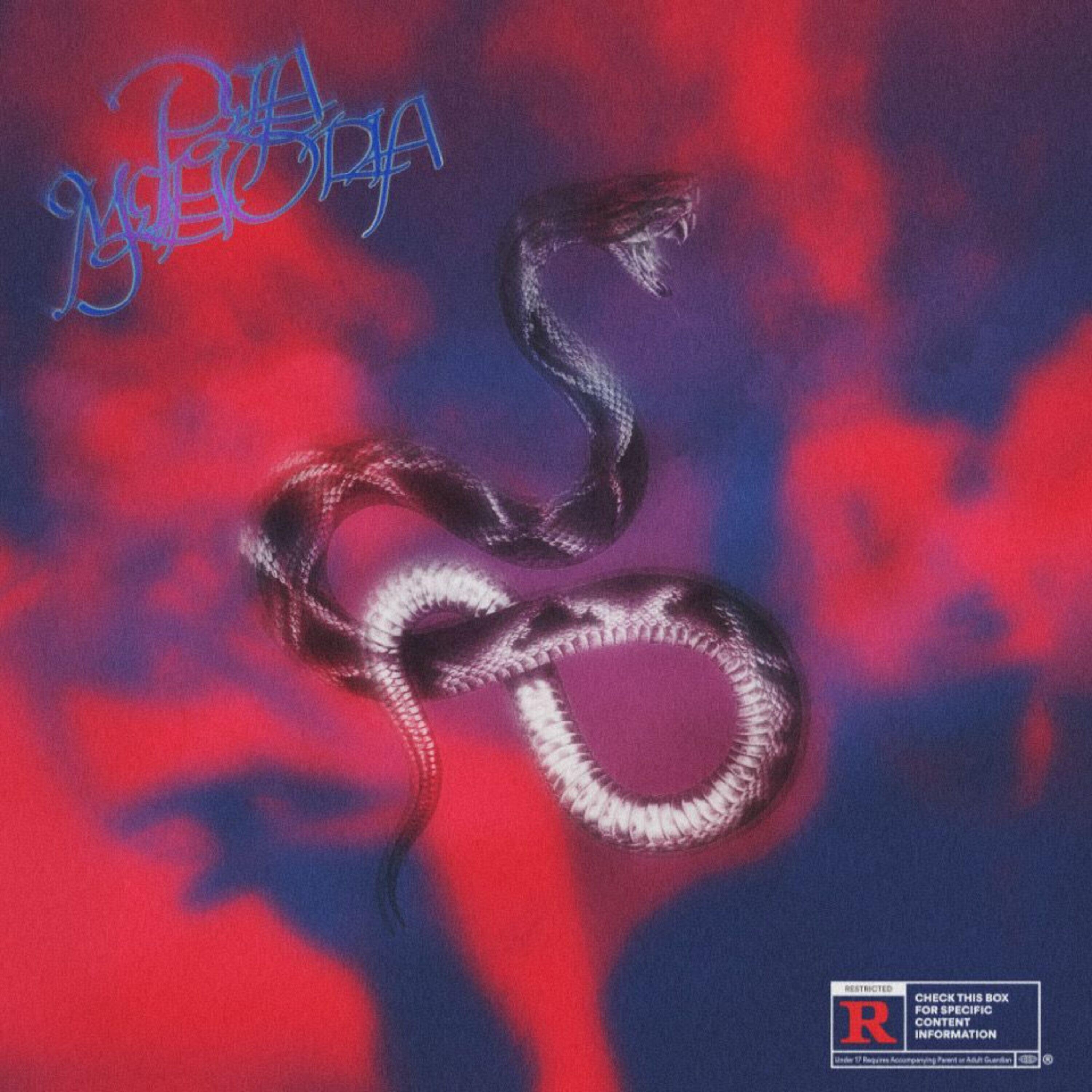 Релиз Despedidas