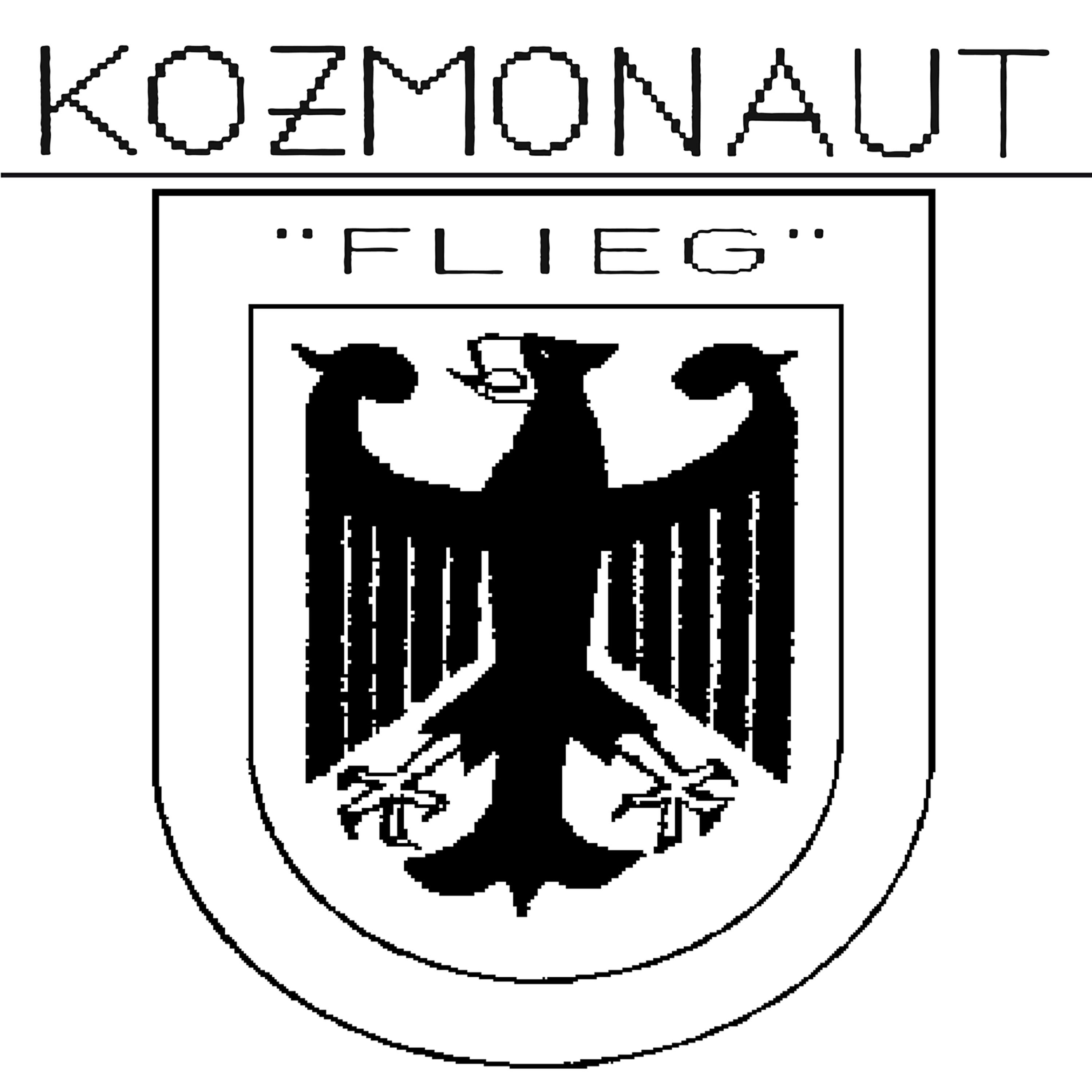 Релиз Flieg