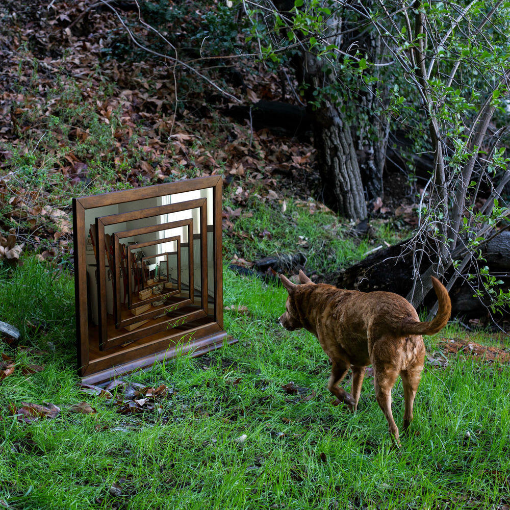 Релиз Mirror River