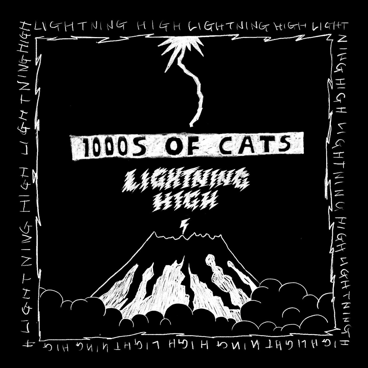 1000s of cats