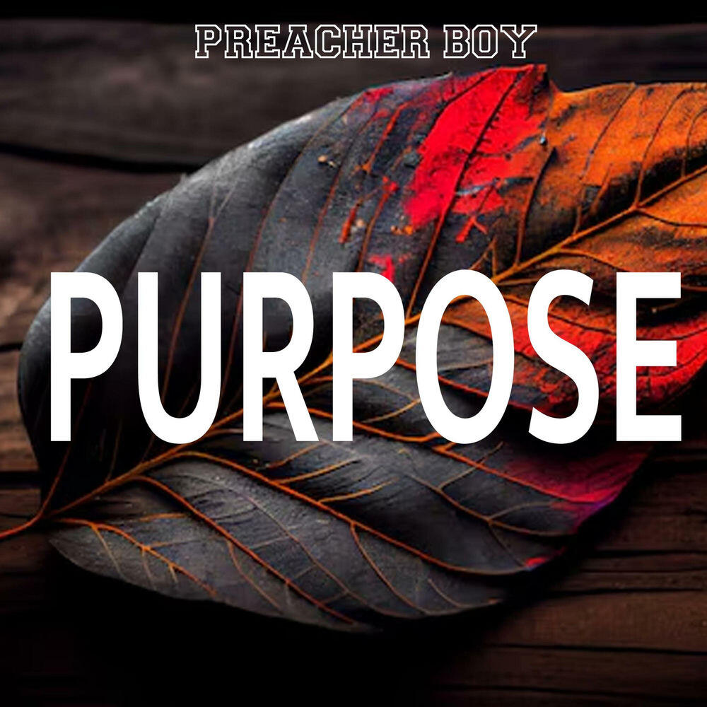 Релиз Purpose (House Mix)