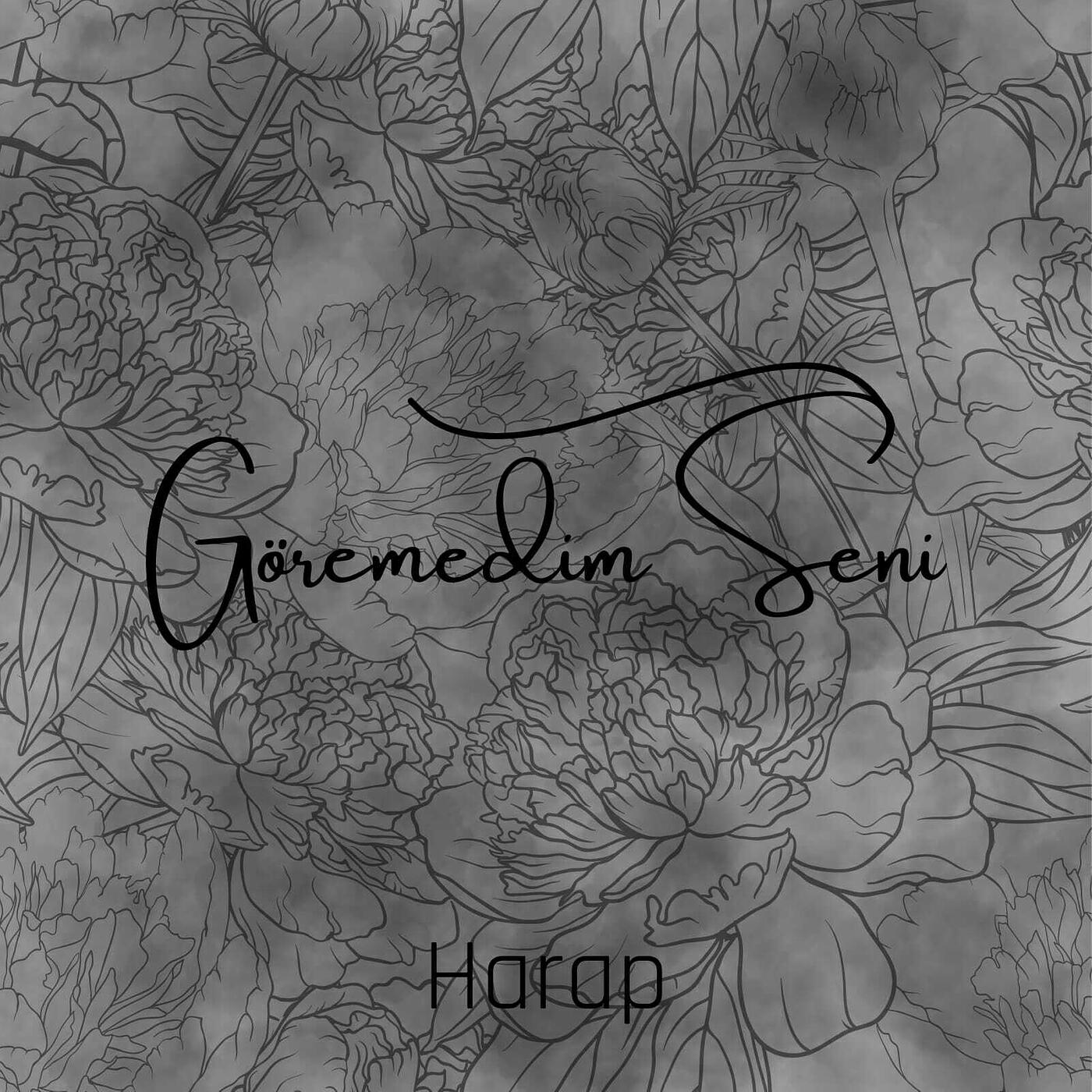 Релиз Görmedim Seni