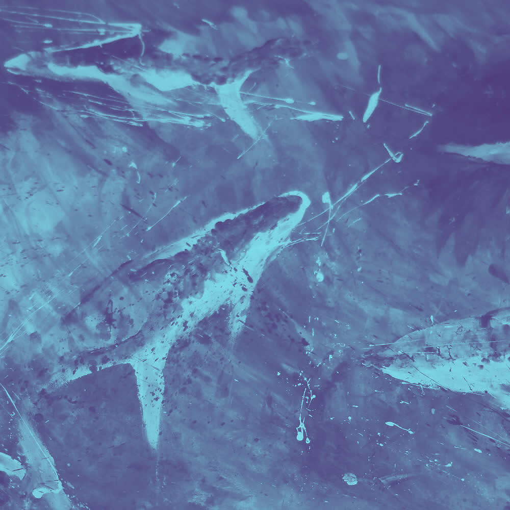 Релиз Voices on My Head