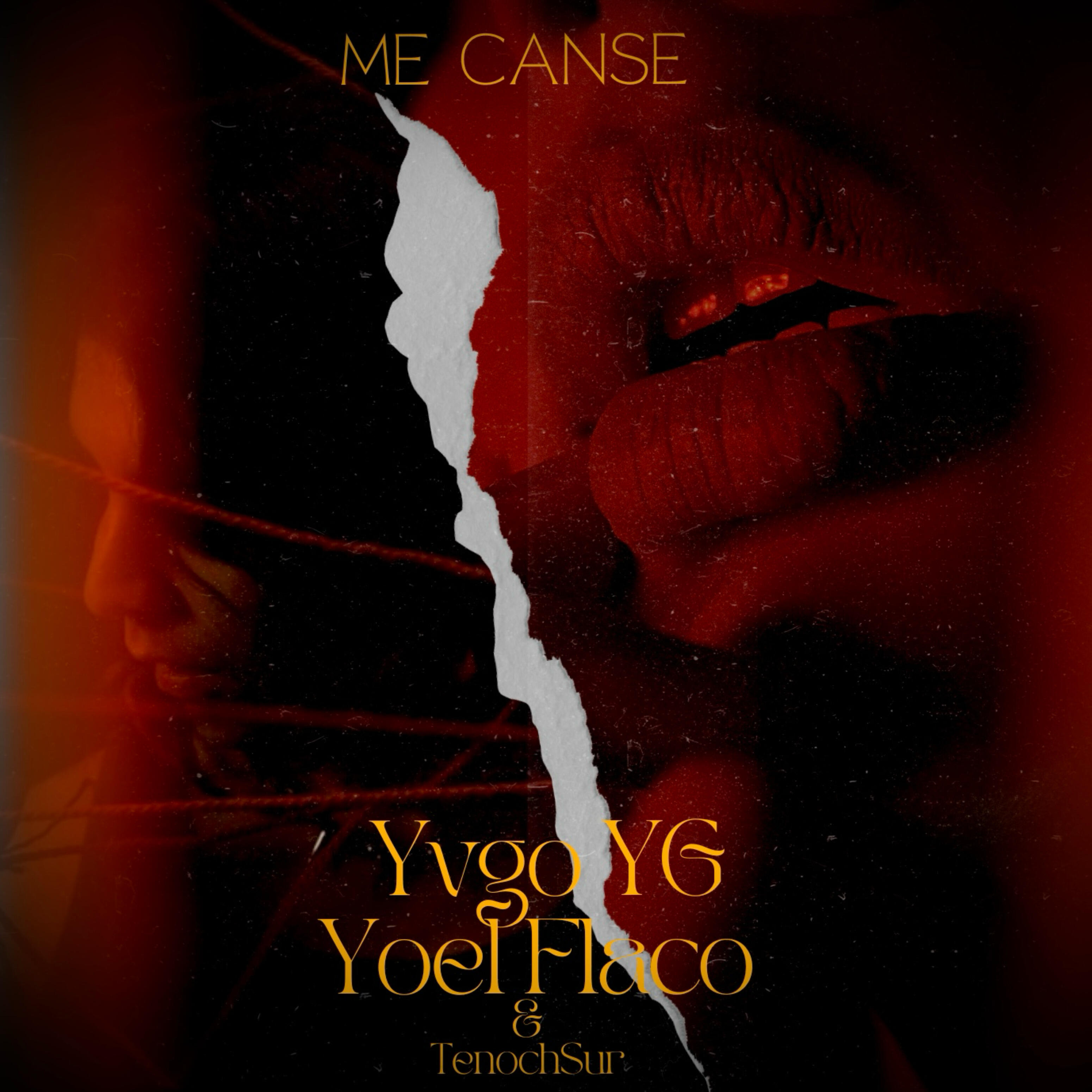 Yvgo YG