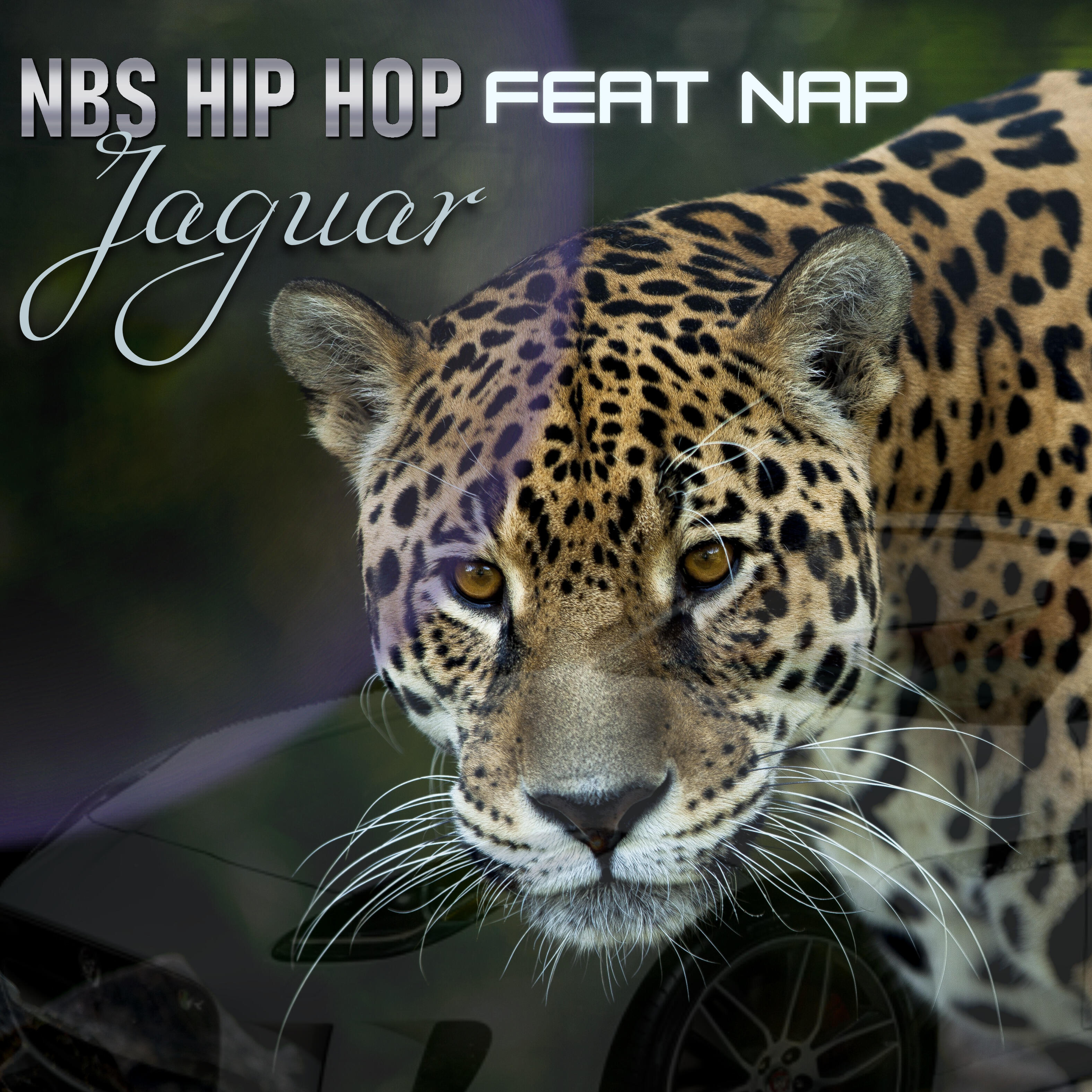 Релиз Jaguar