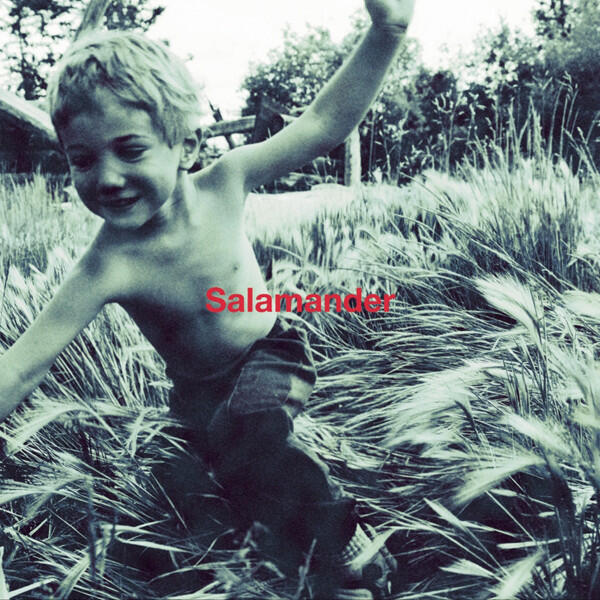 Релиз Salamander