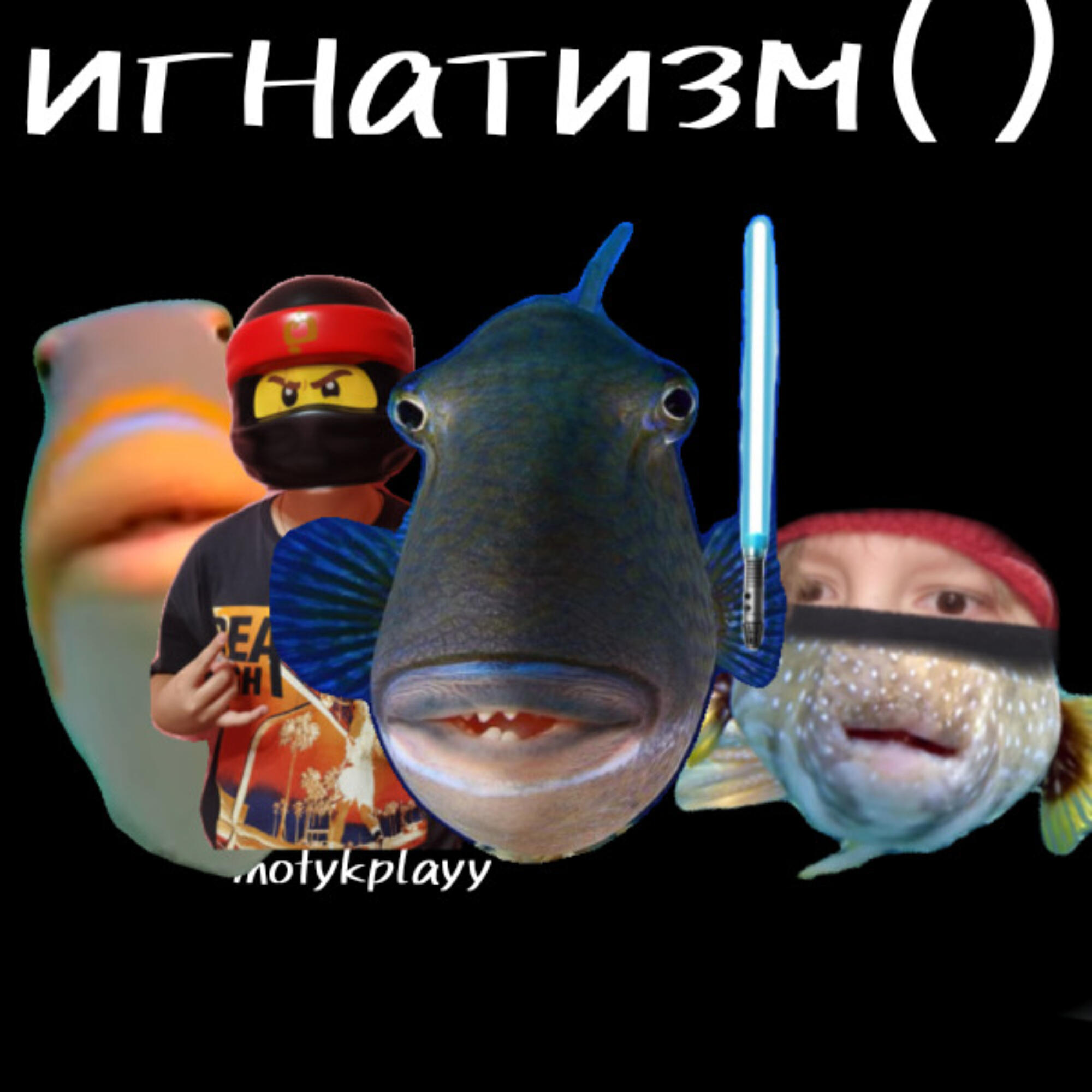 mötykplayy