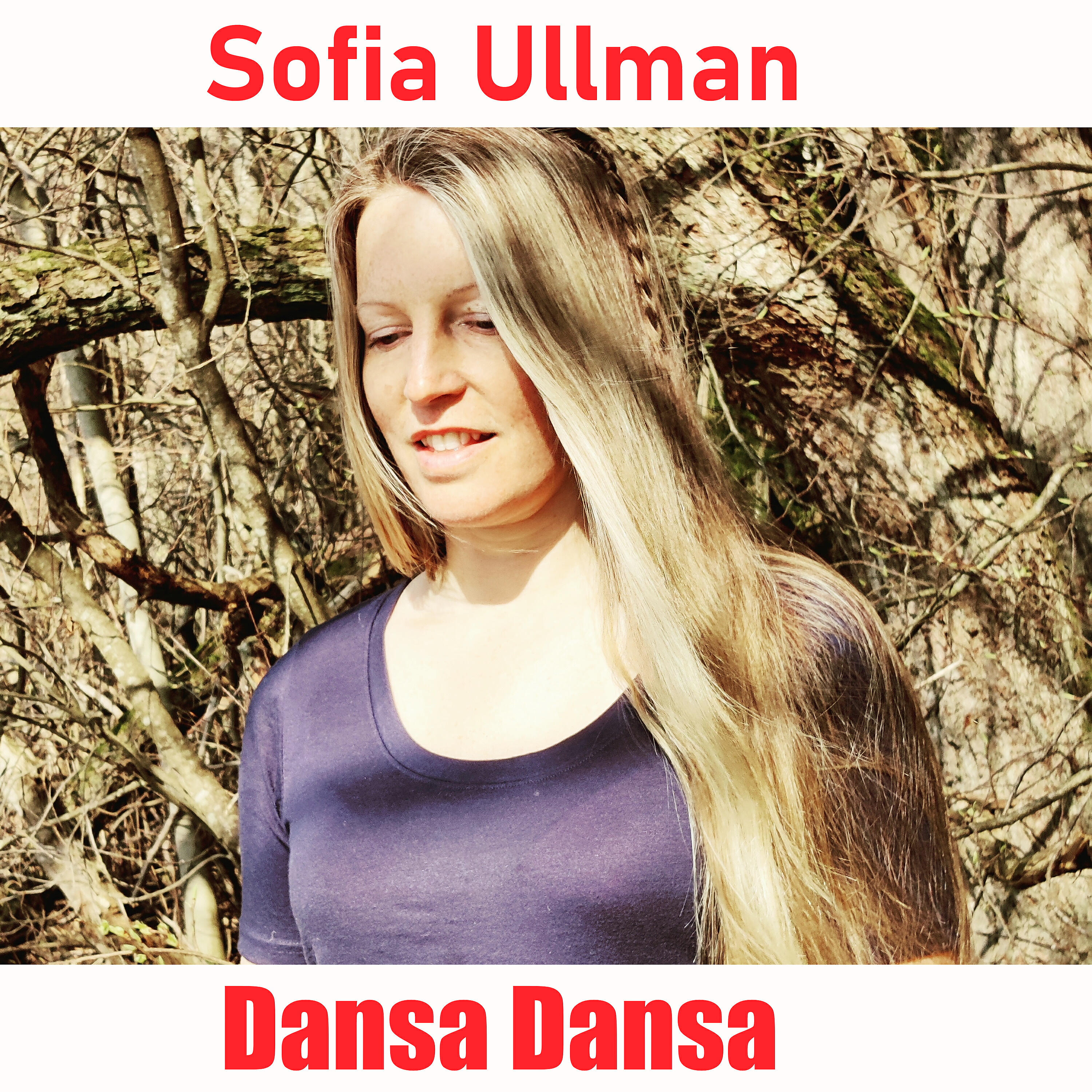 Постер альбома Dansa Dansa