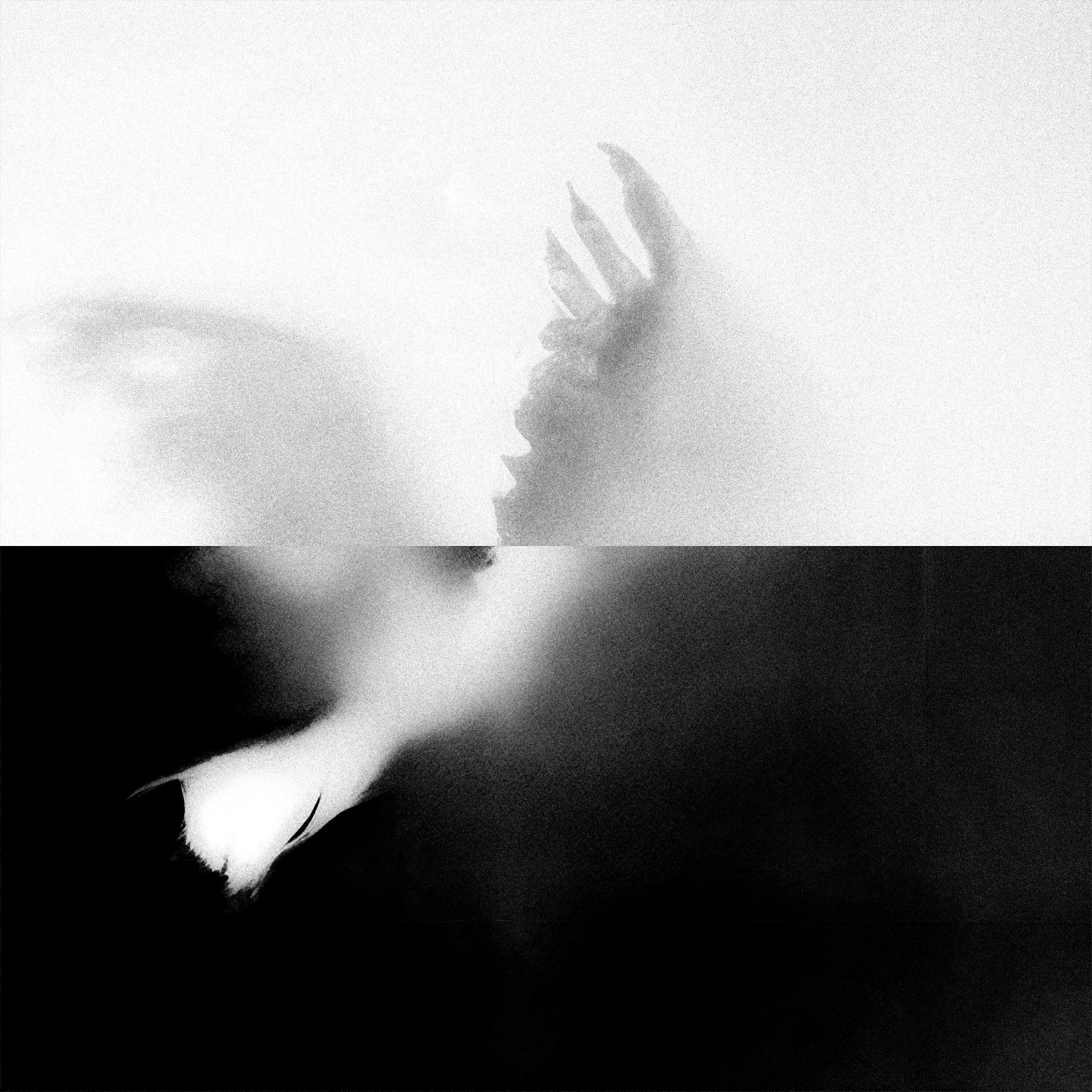 Релиз NARCISSiST LOVE