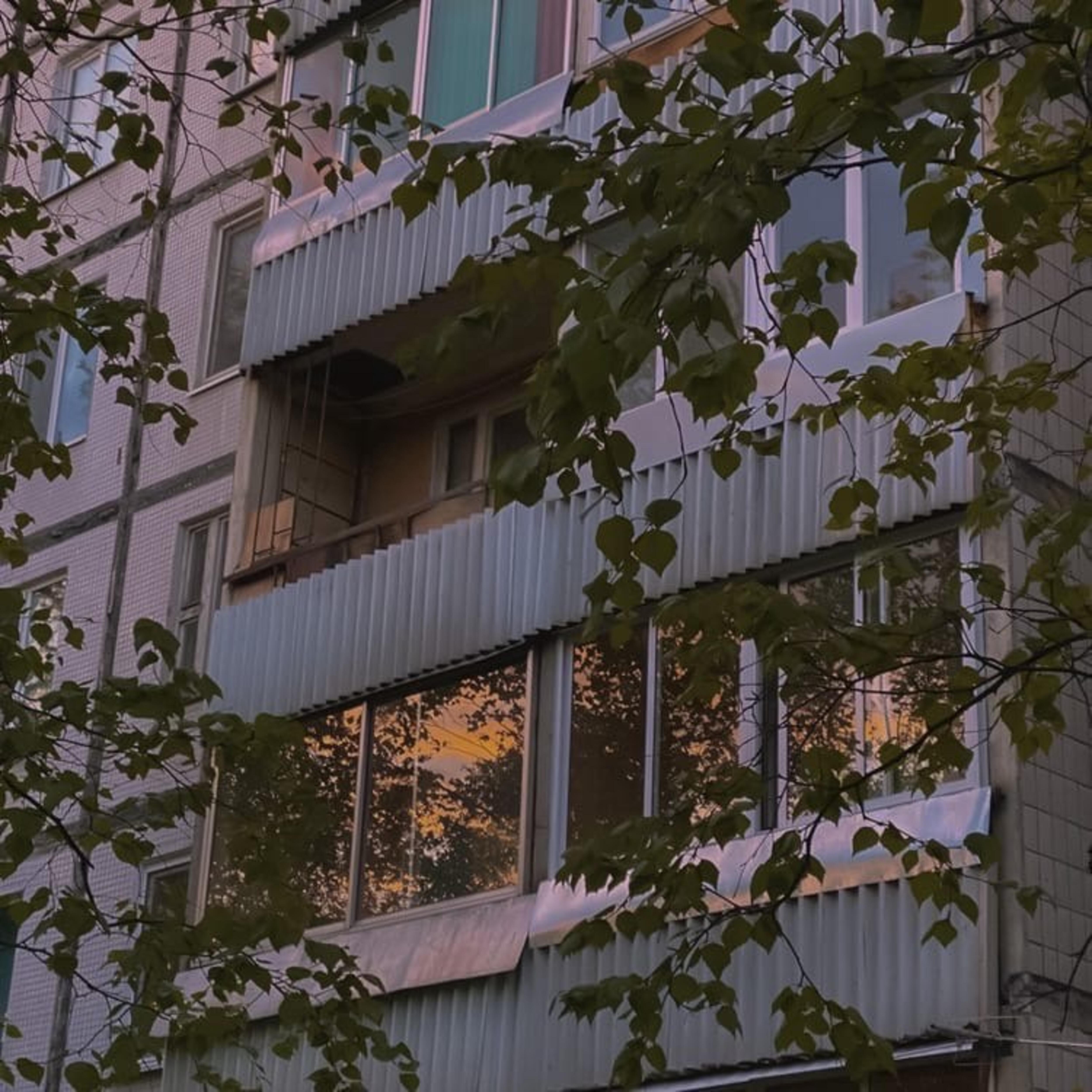 Релиз Silence