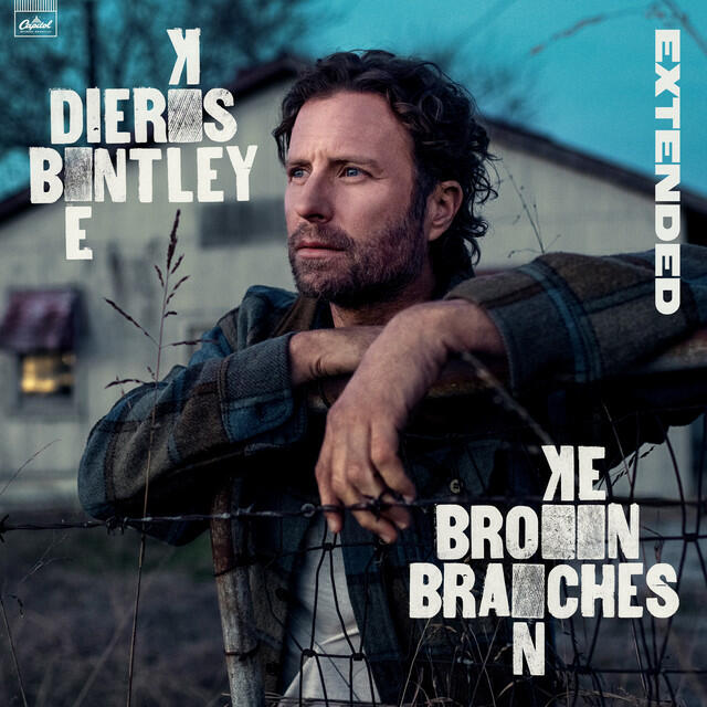 Релиз Broken Branches (Extended)