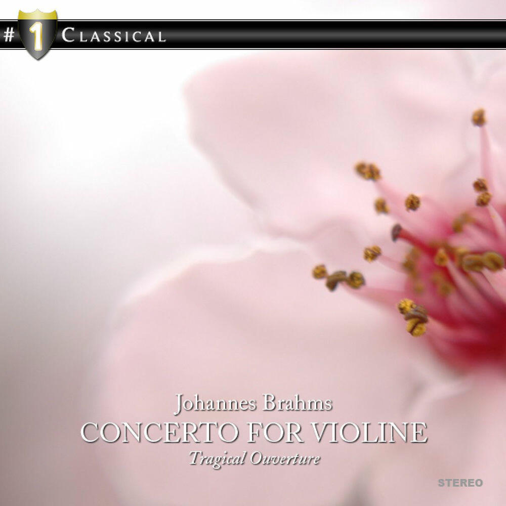 Трек Double Concerto in A Minor for Violin, Cello and Orchestra, Op. 102: II. Andante