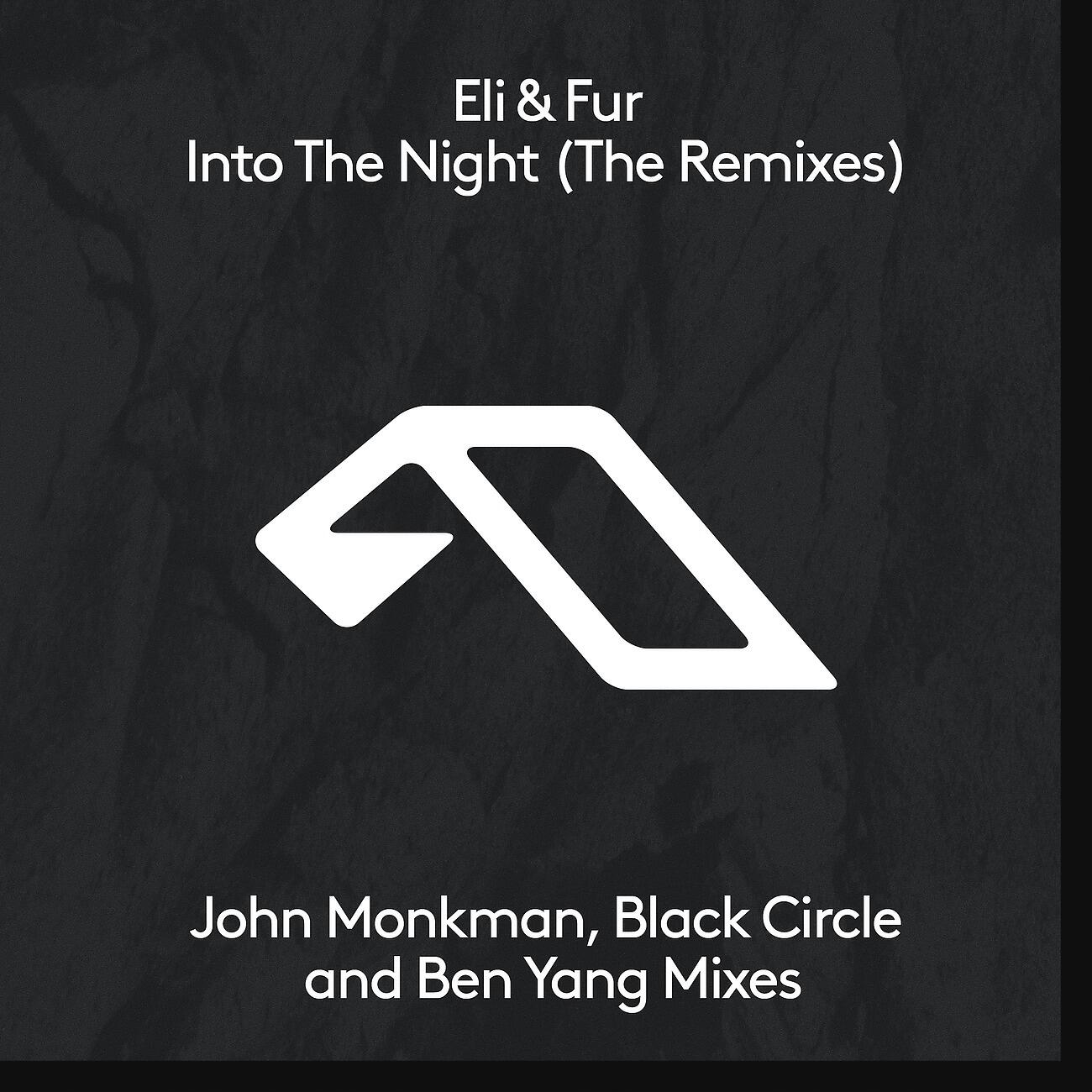Релиз Into The Night (The Remixes)