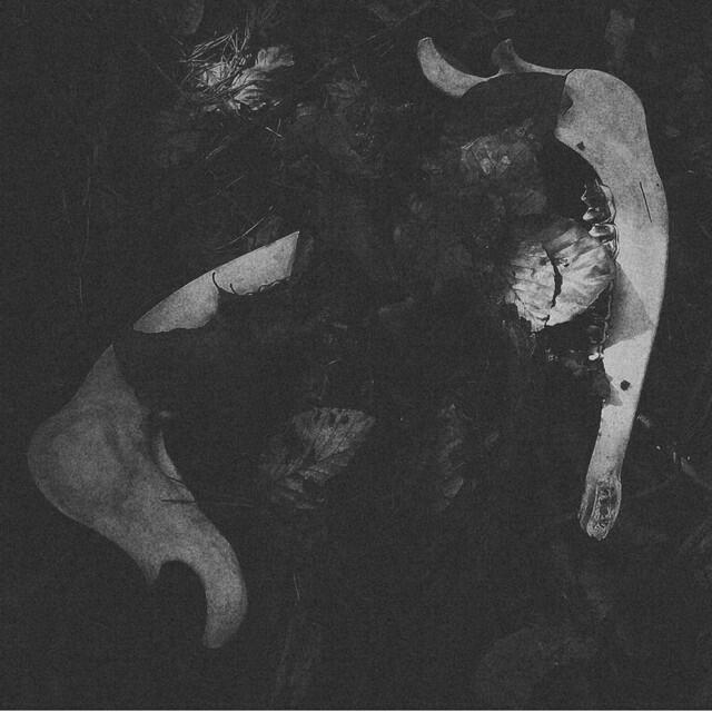 Релиз Branches and Old Bones