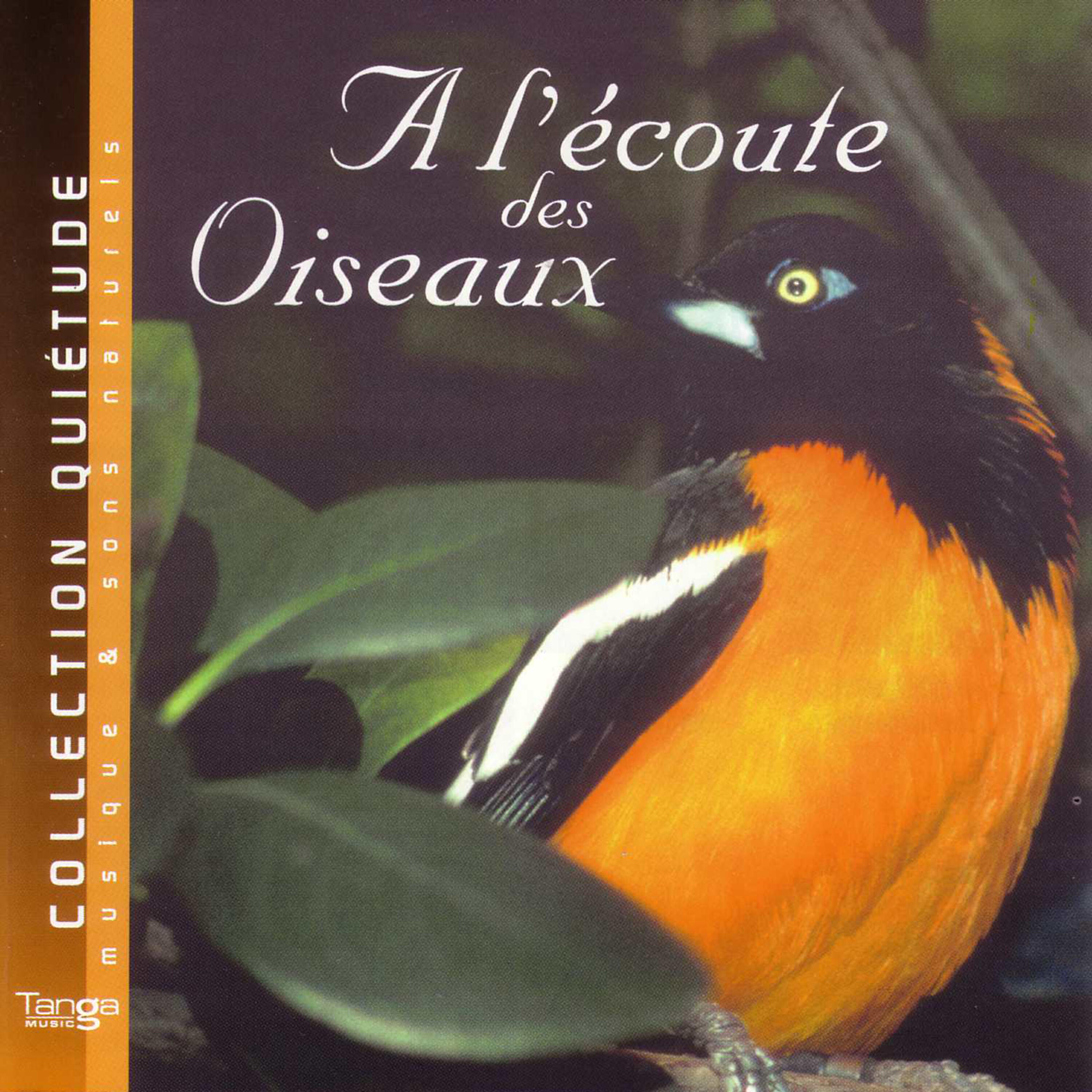 Quiétude: Musique