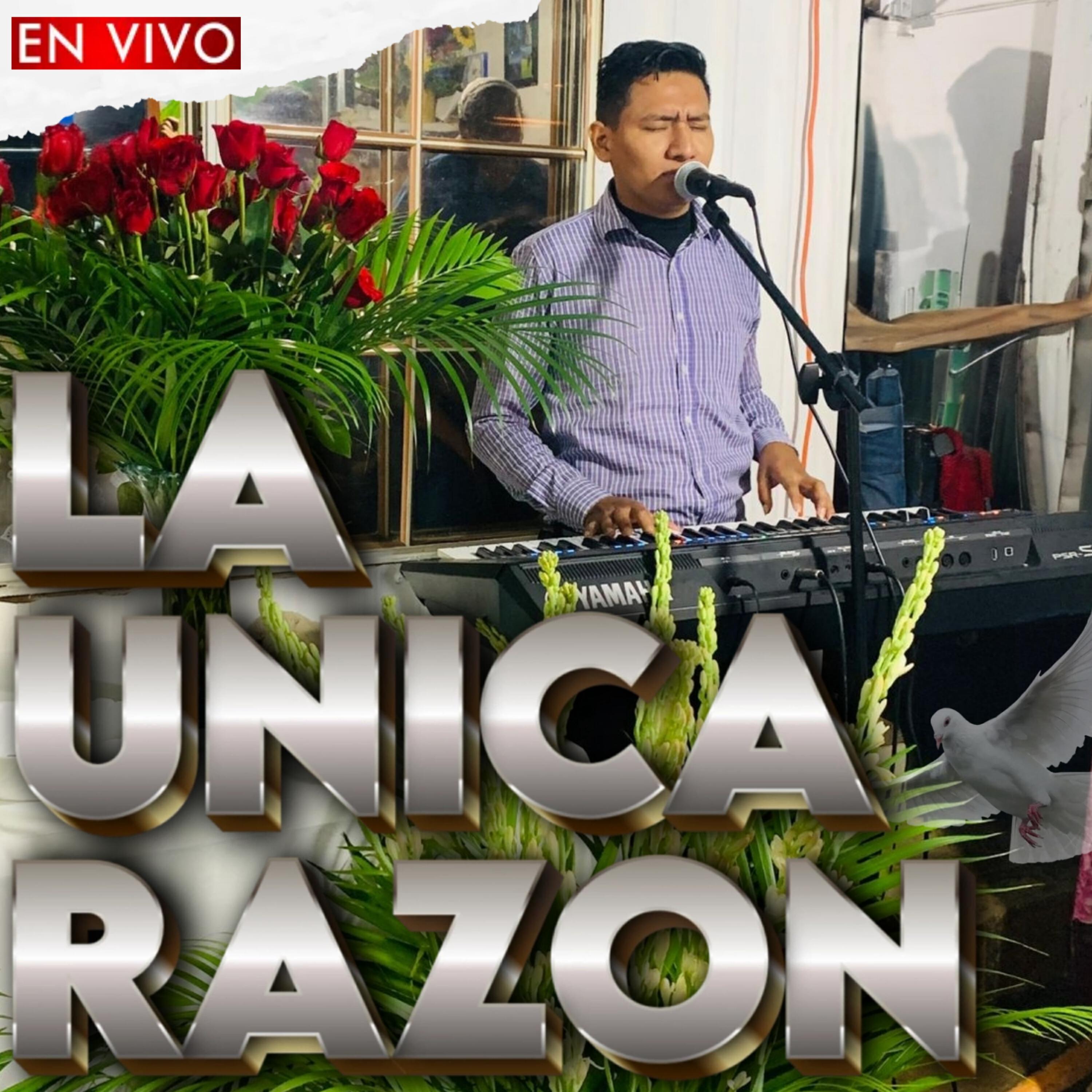 Yonathan Quintanilla