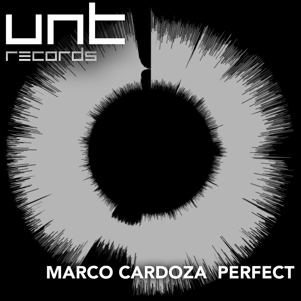 Релиз Perfect