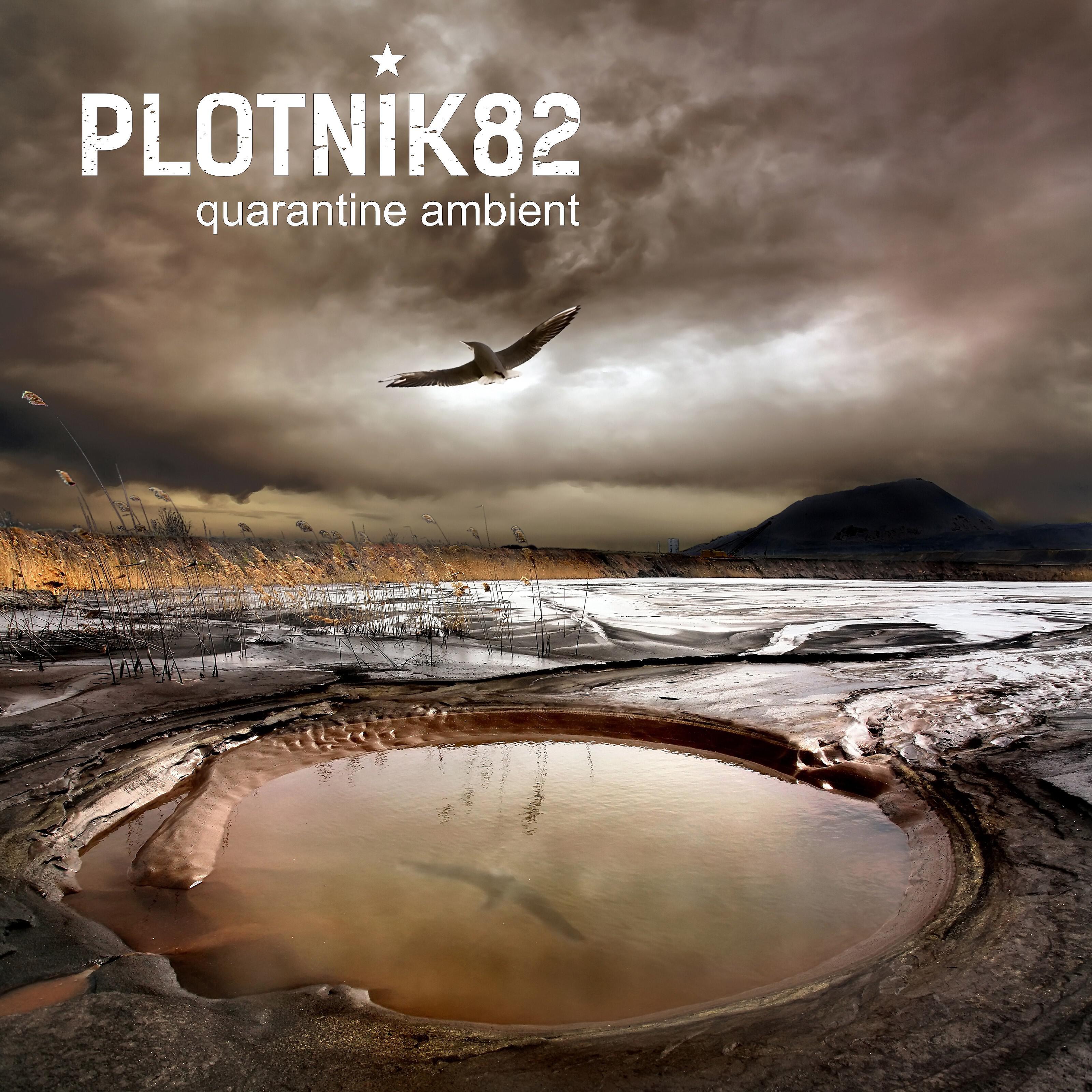 Релиз Quarantine Ambient