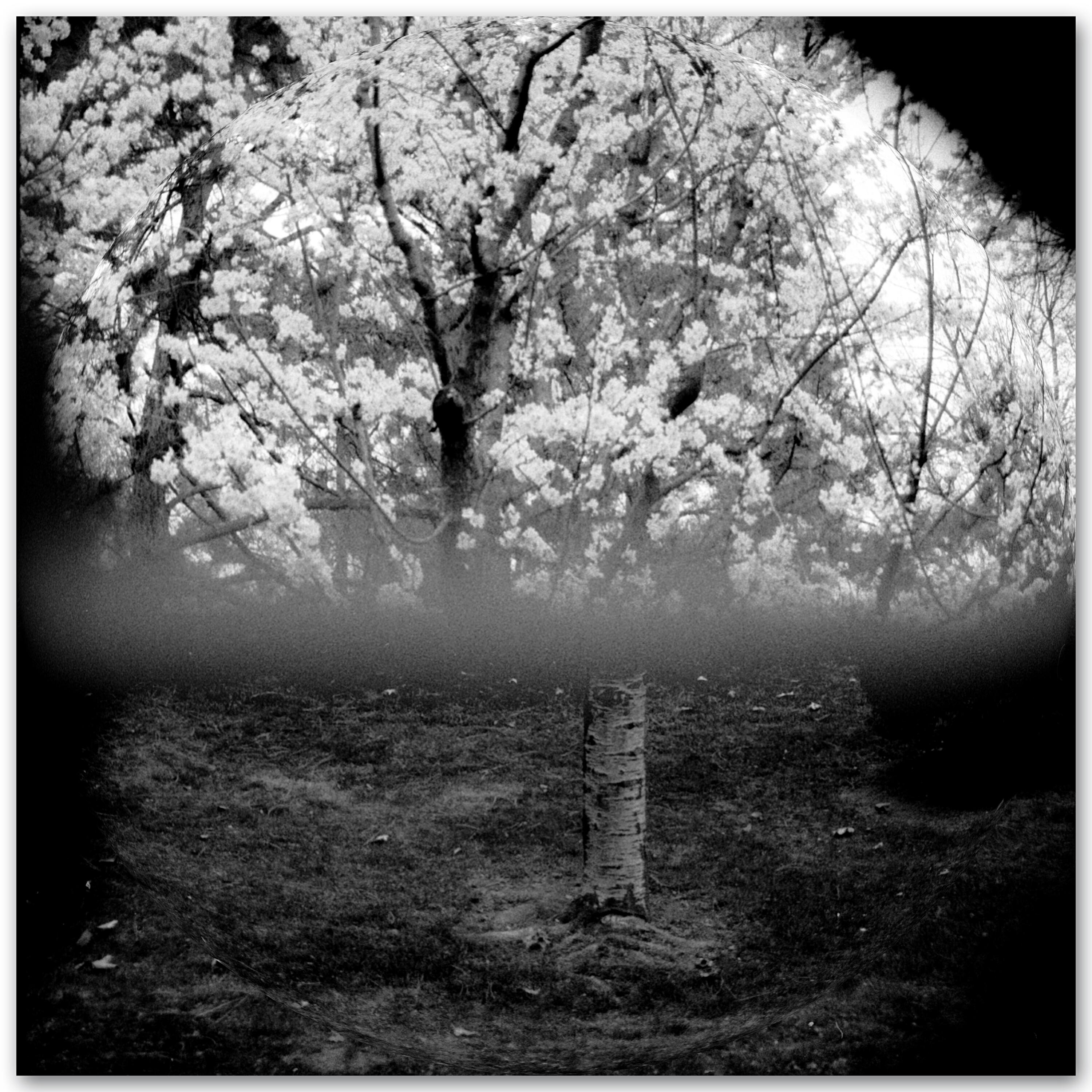 Релиз FRACTURE