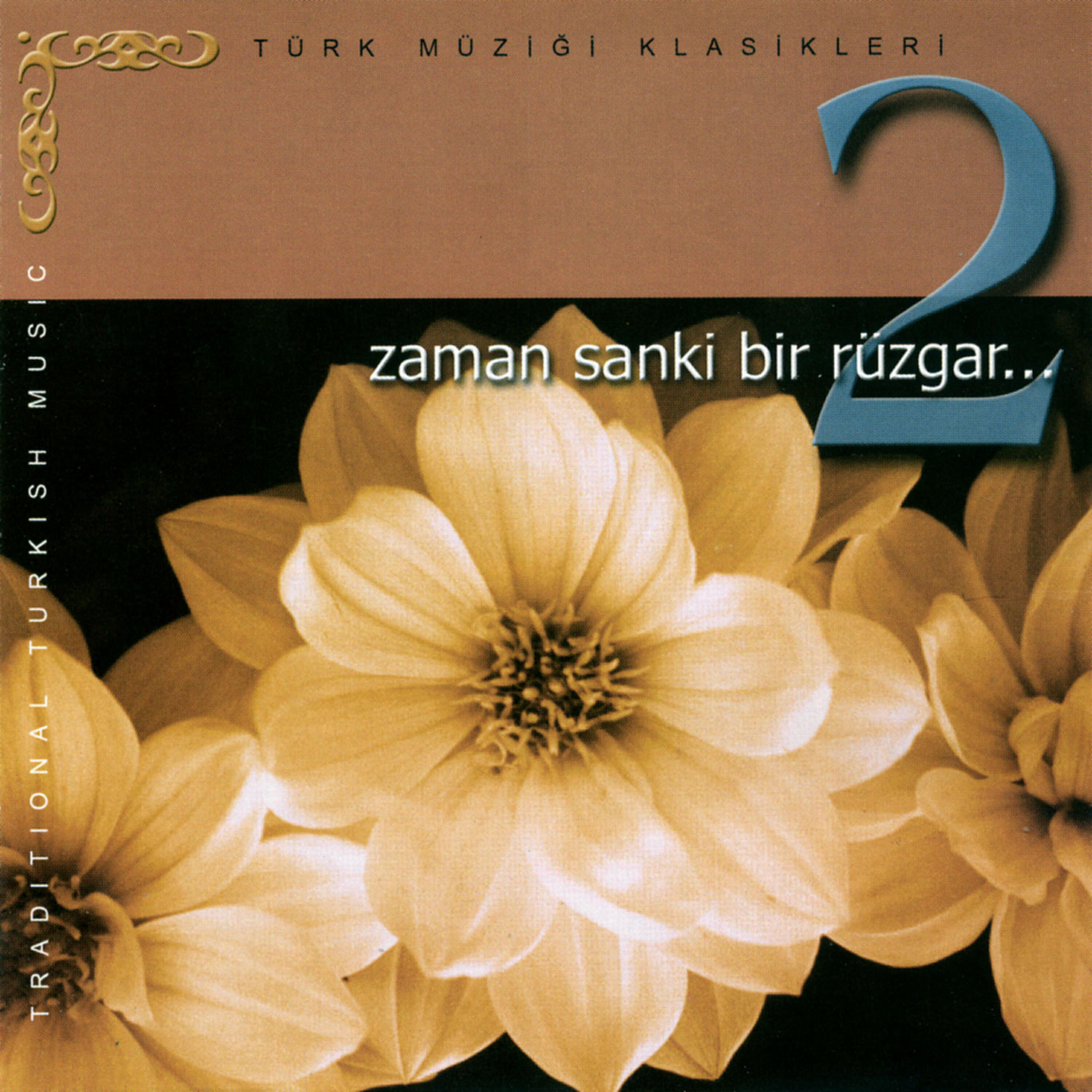Постер альбома Zaman Sanki Bir Rüzgar 2