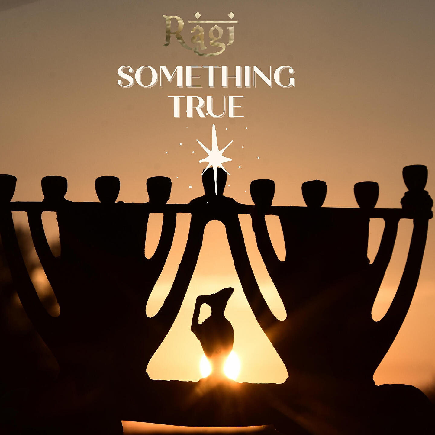 Релиз Something True