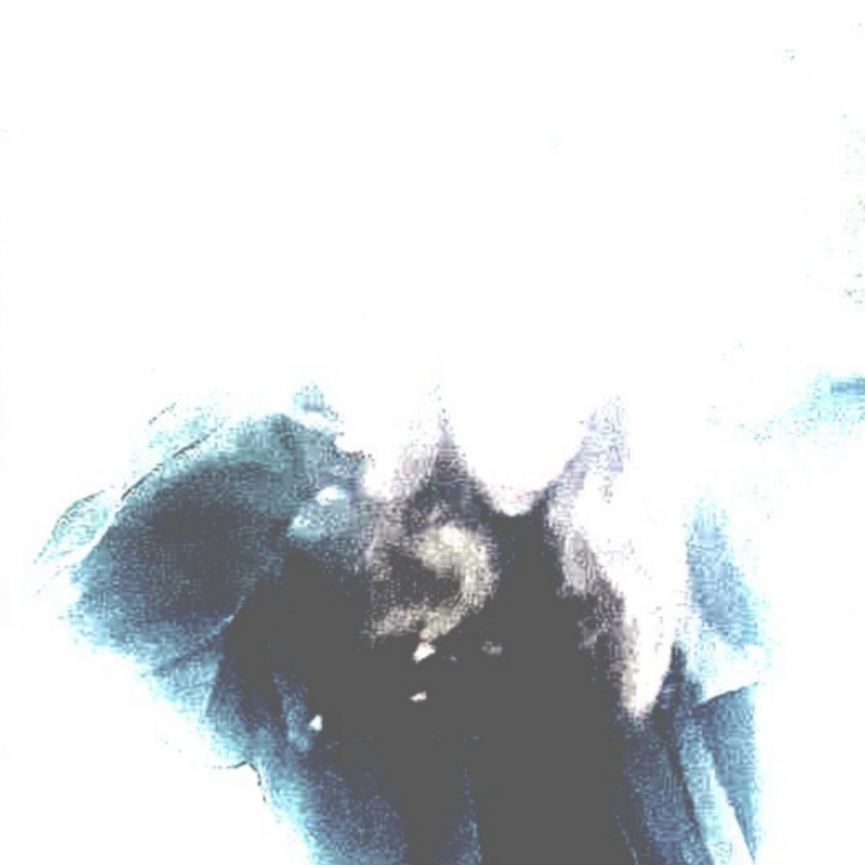 Релиз polyester