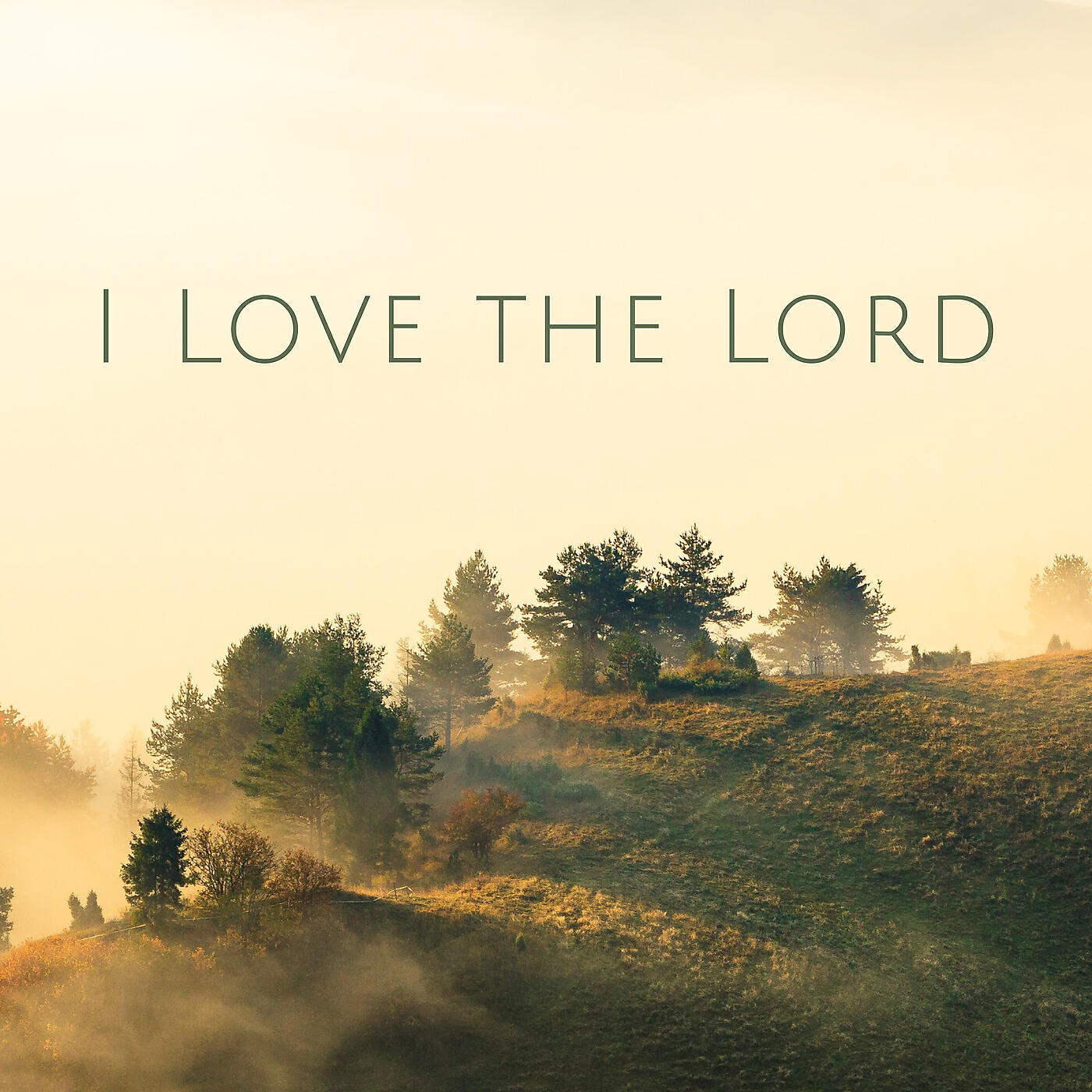 Релиз I Love the Lord