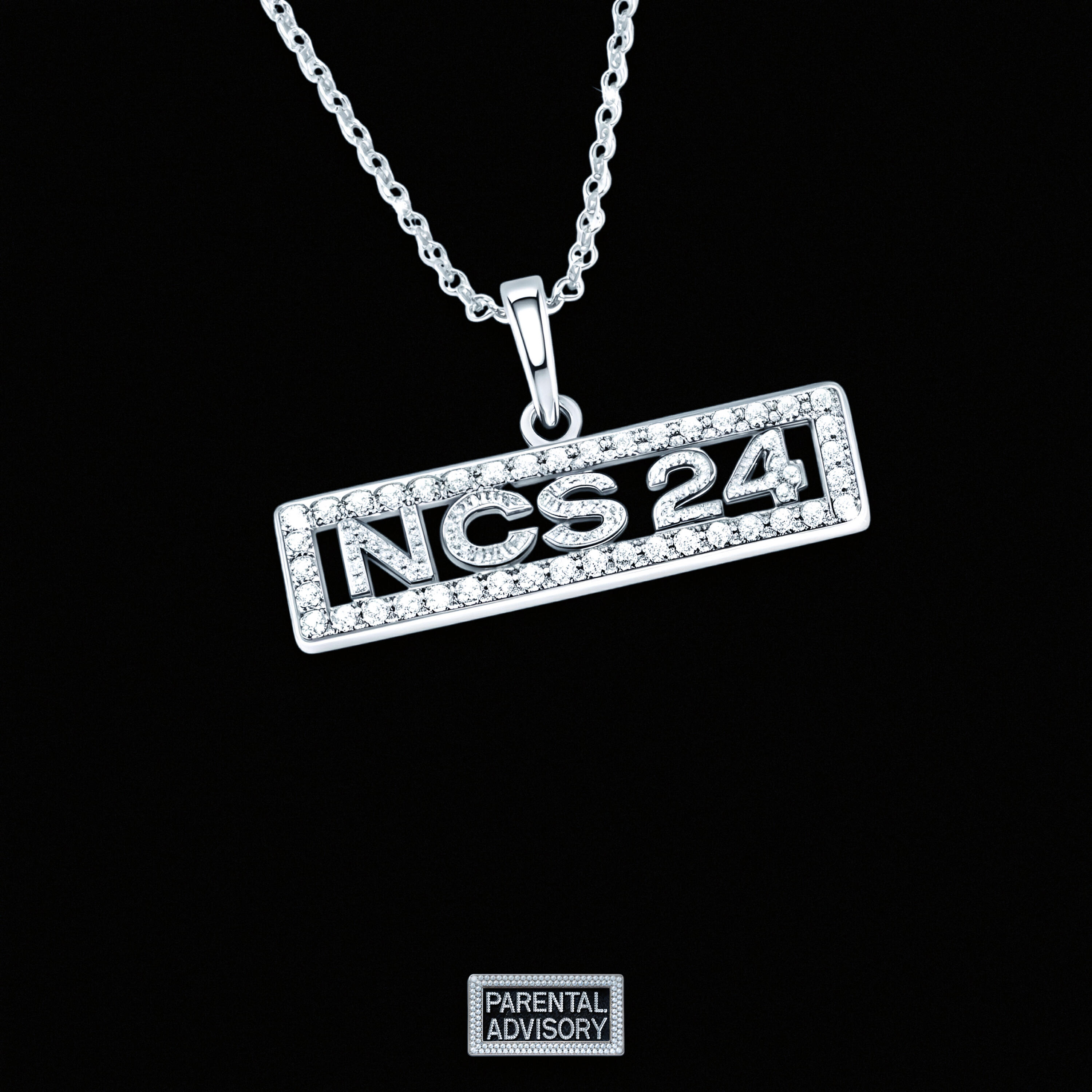 Релиз NCS2024