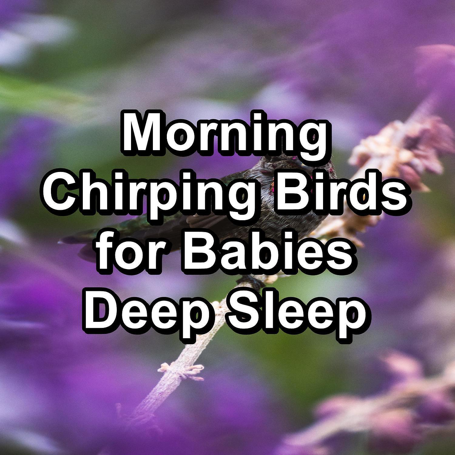 Релиз Morning Chirping Birds for Babies Deep Sleep