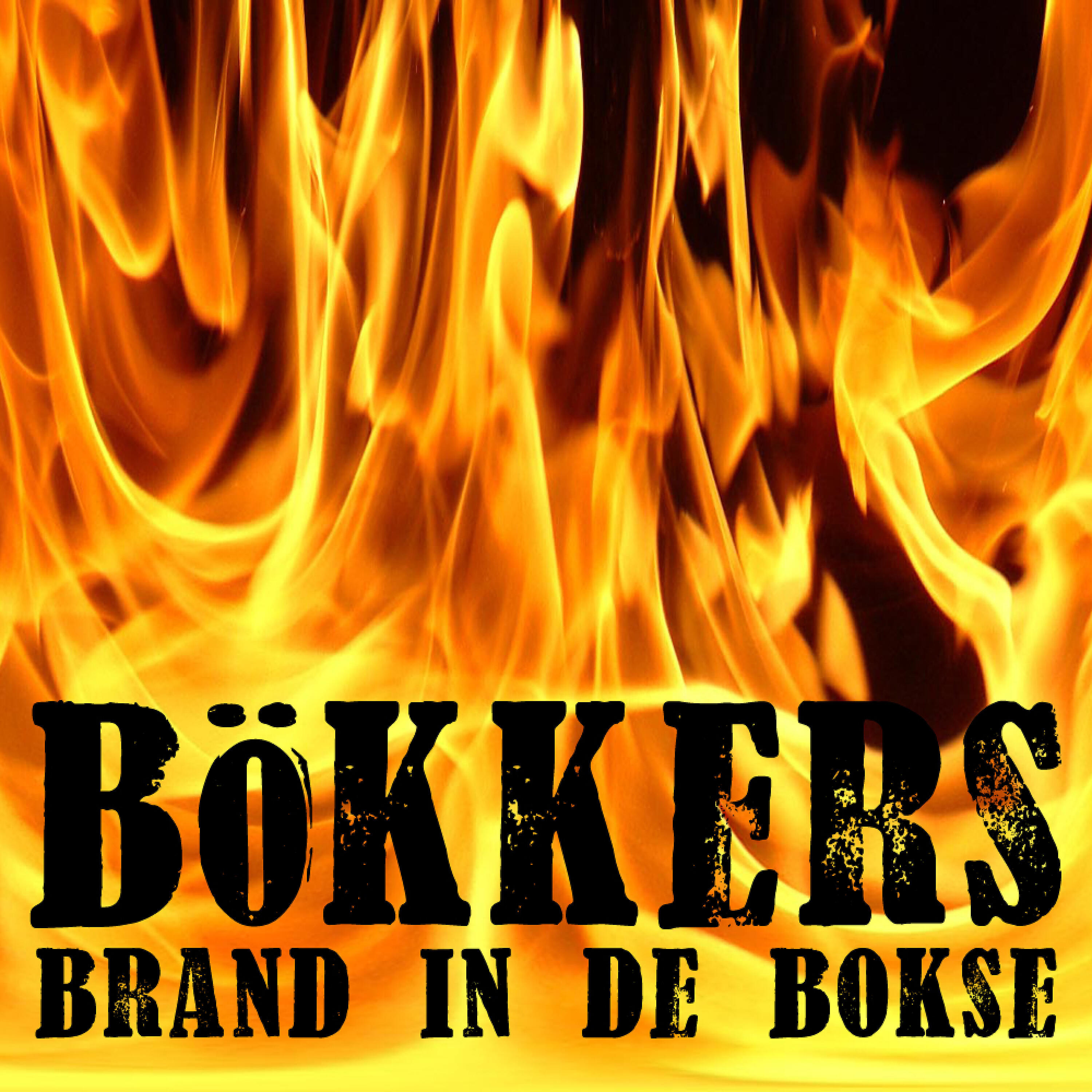 Релиз Brand in De Bokse