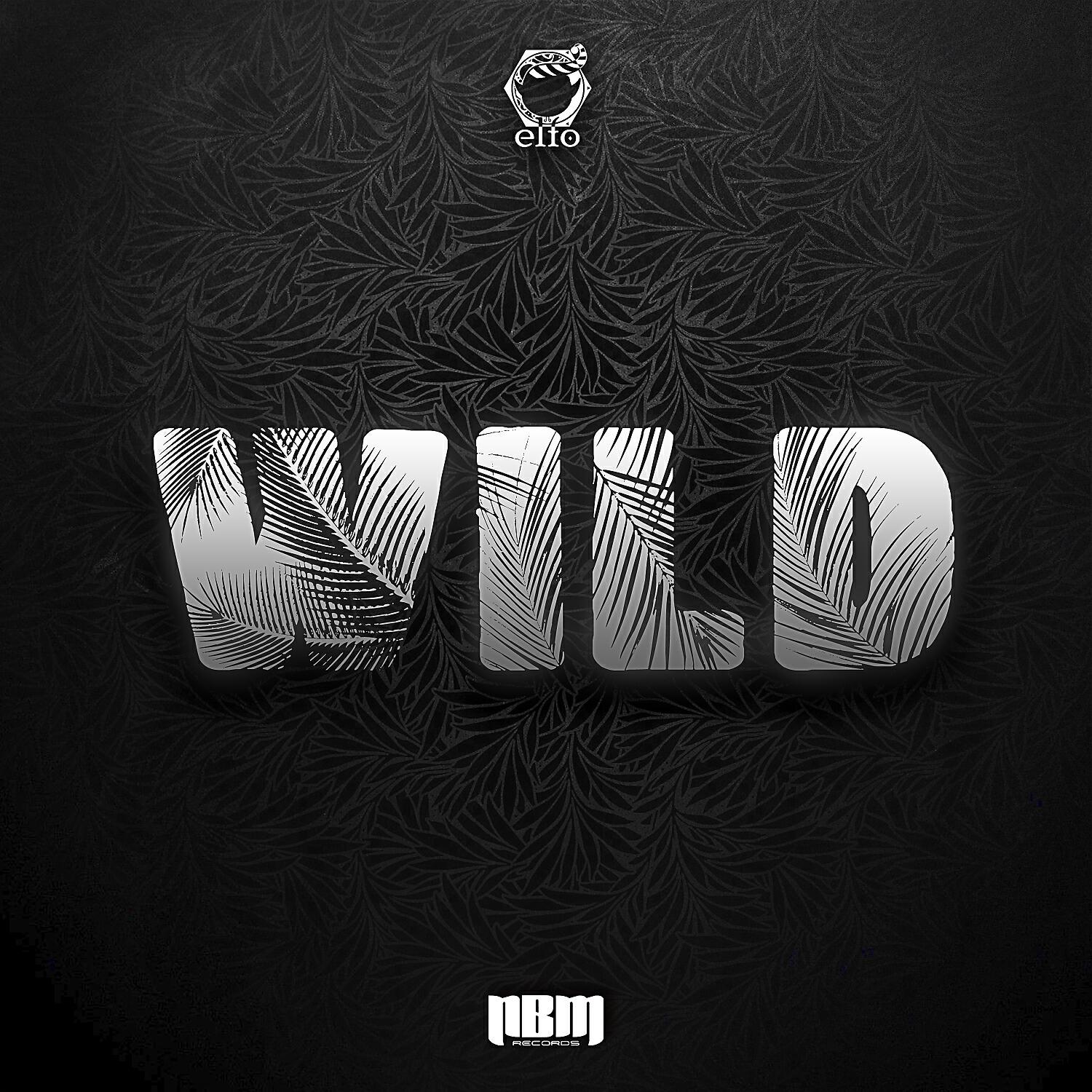Скачать песню Elfo - Wild (Original Mix) бесплатно в MP3 для Android и iOS