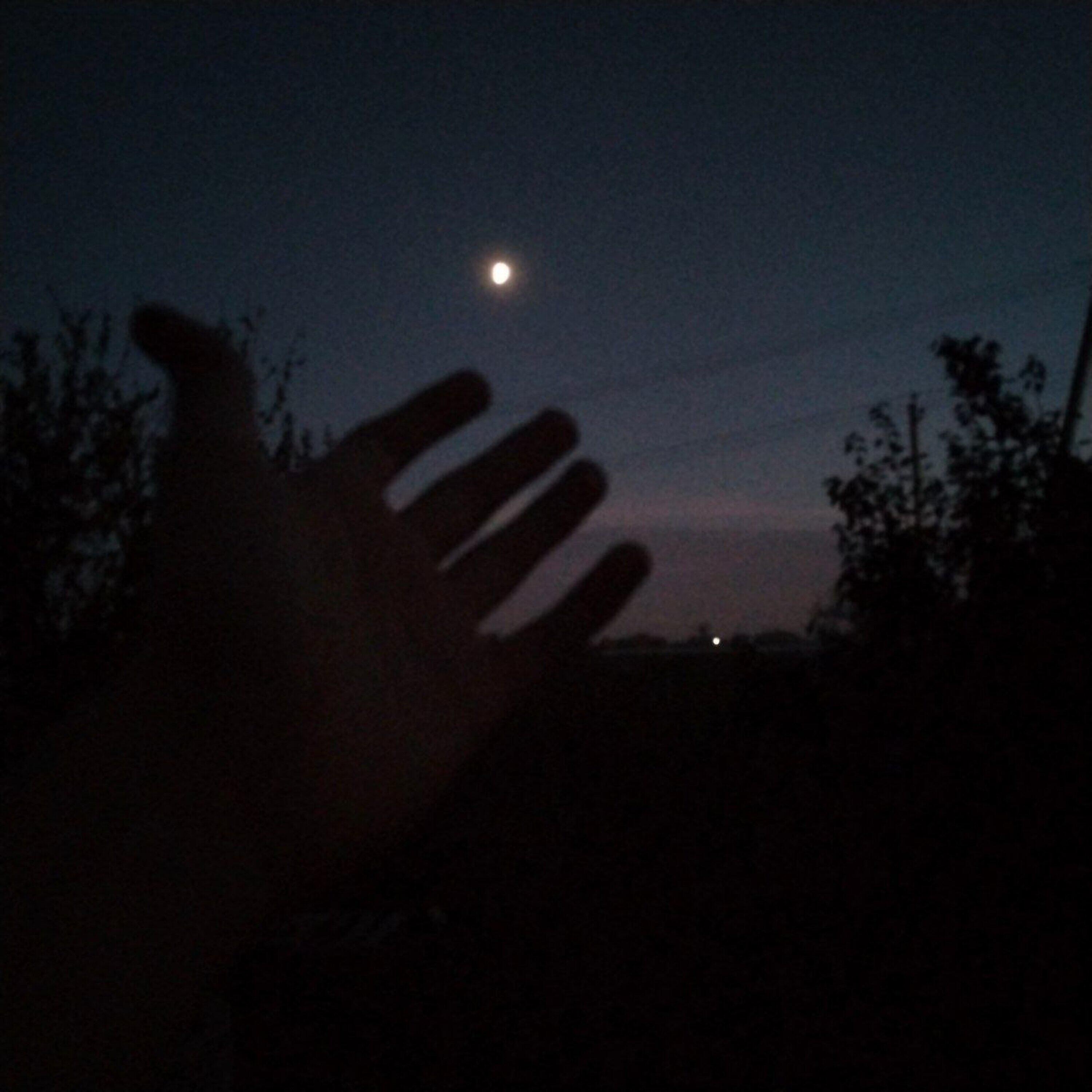 Релиз i'm sorry