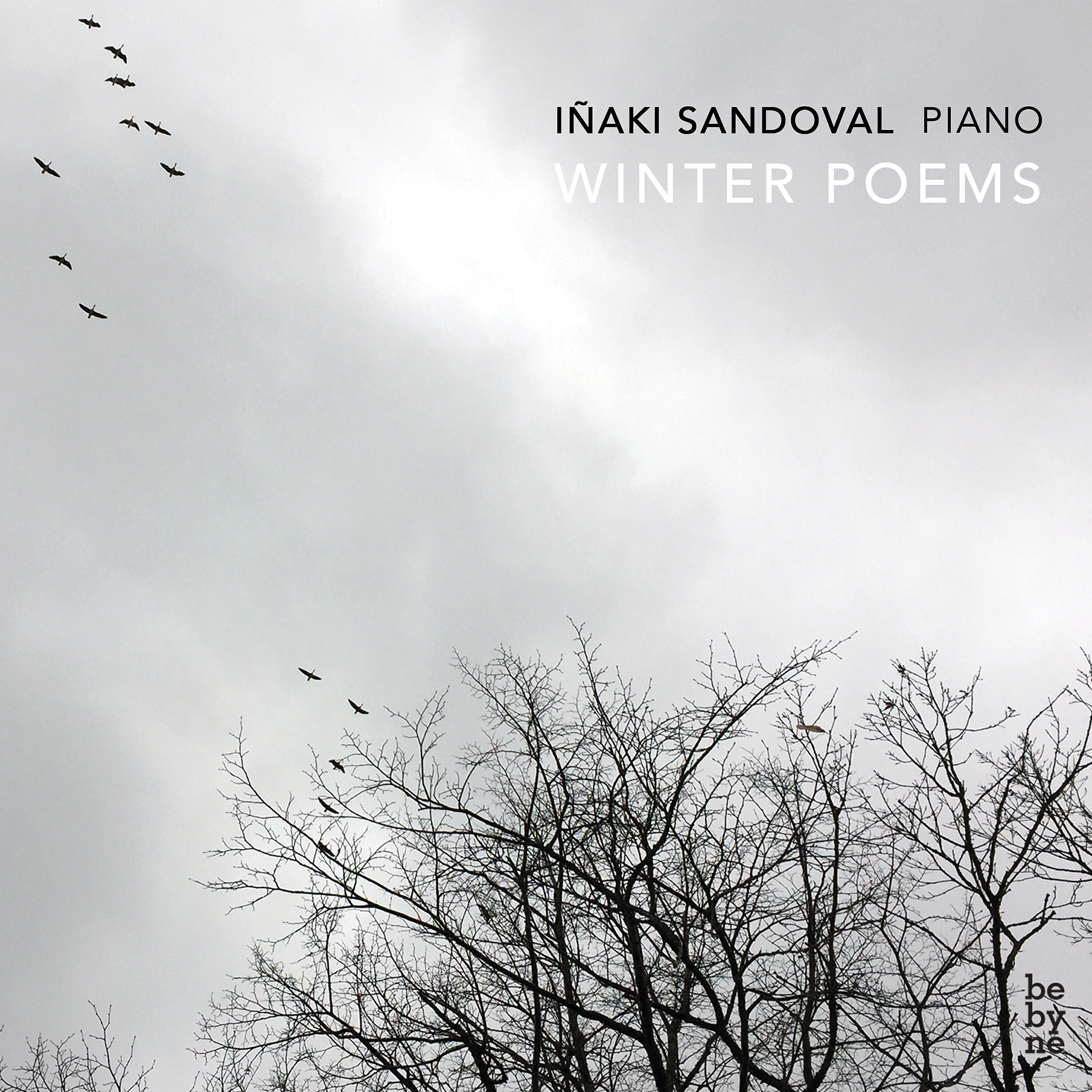 Релиз Iñaki Sandoval: Winter Poems