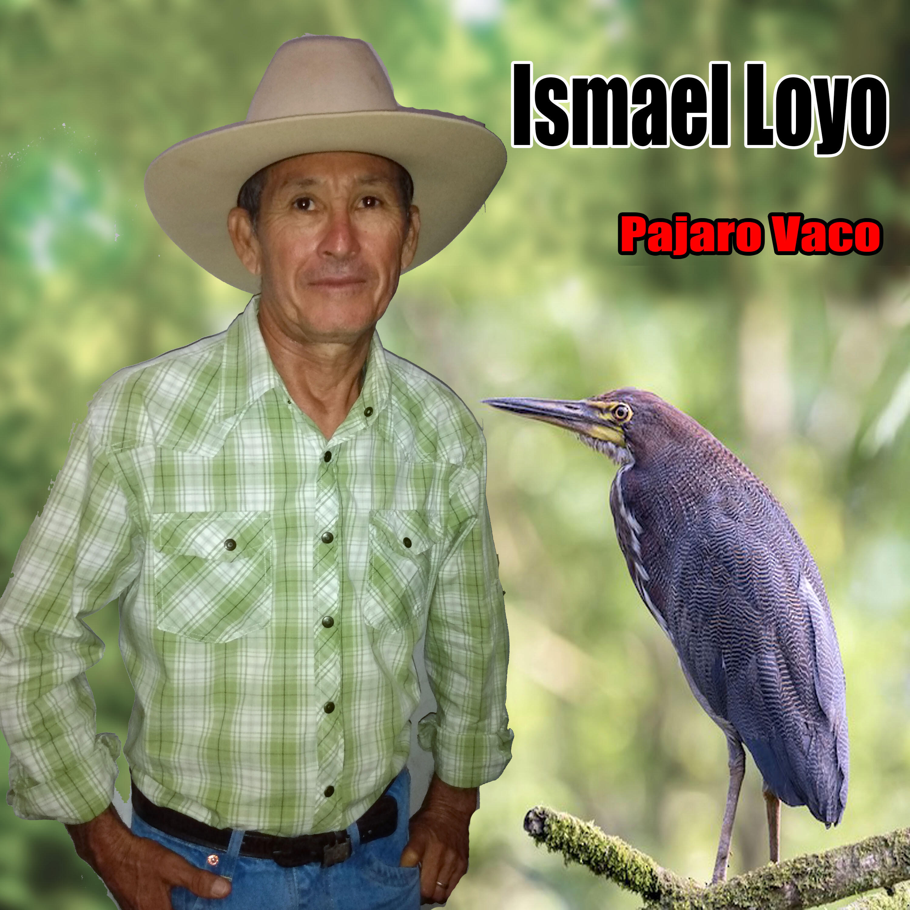 Релиз Pájaro Vaco