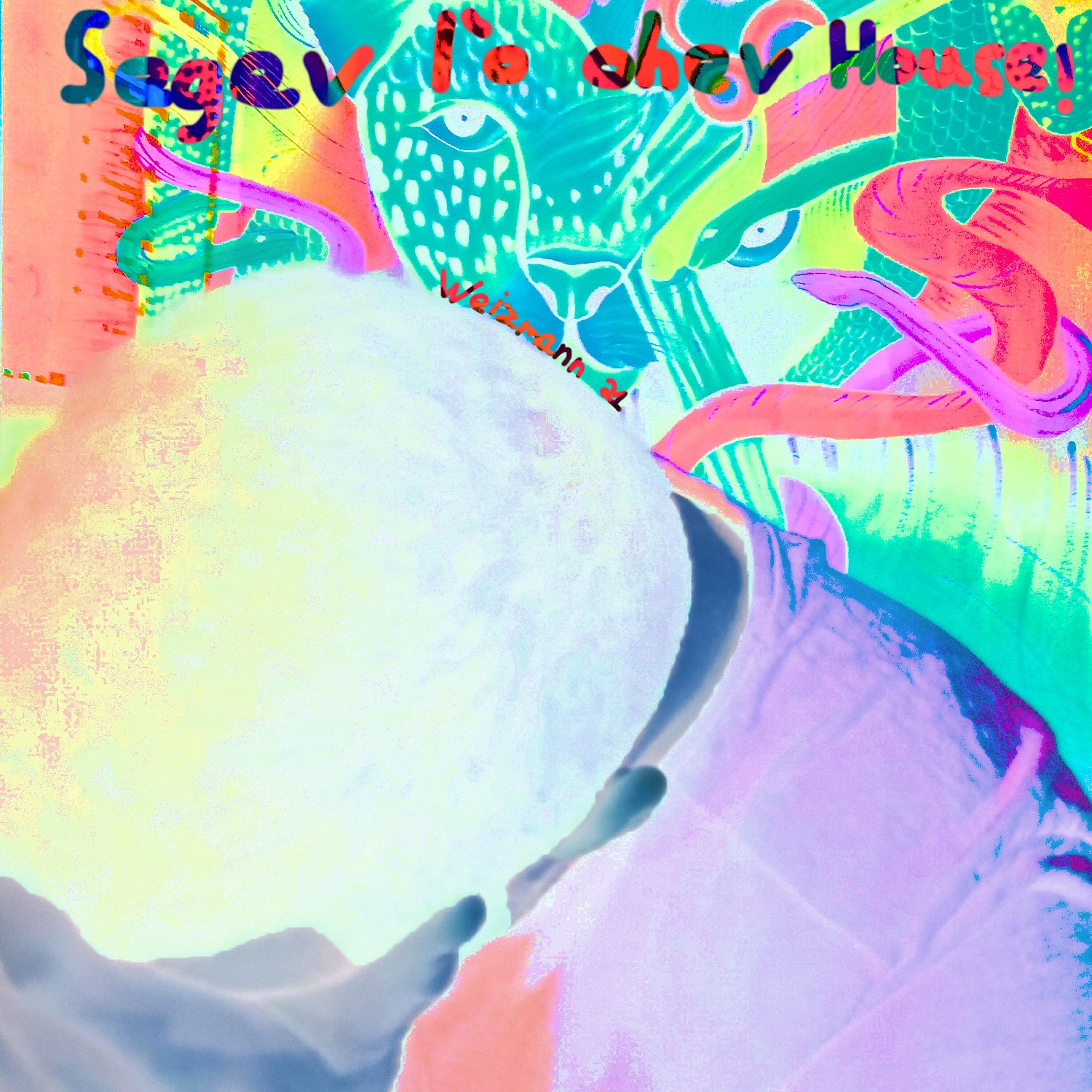 Релиз Segev Lo Ohev House